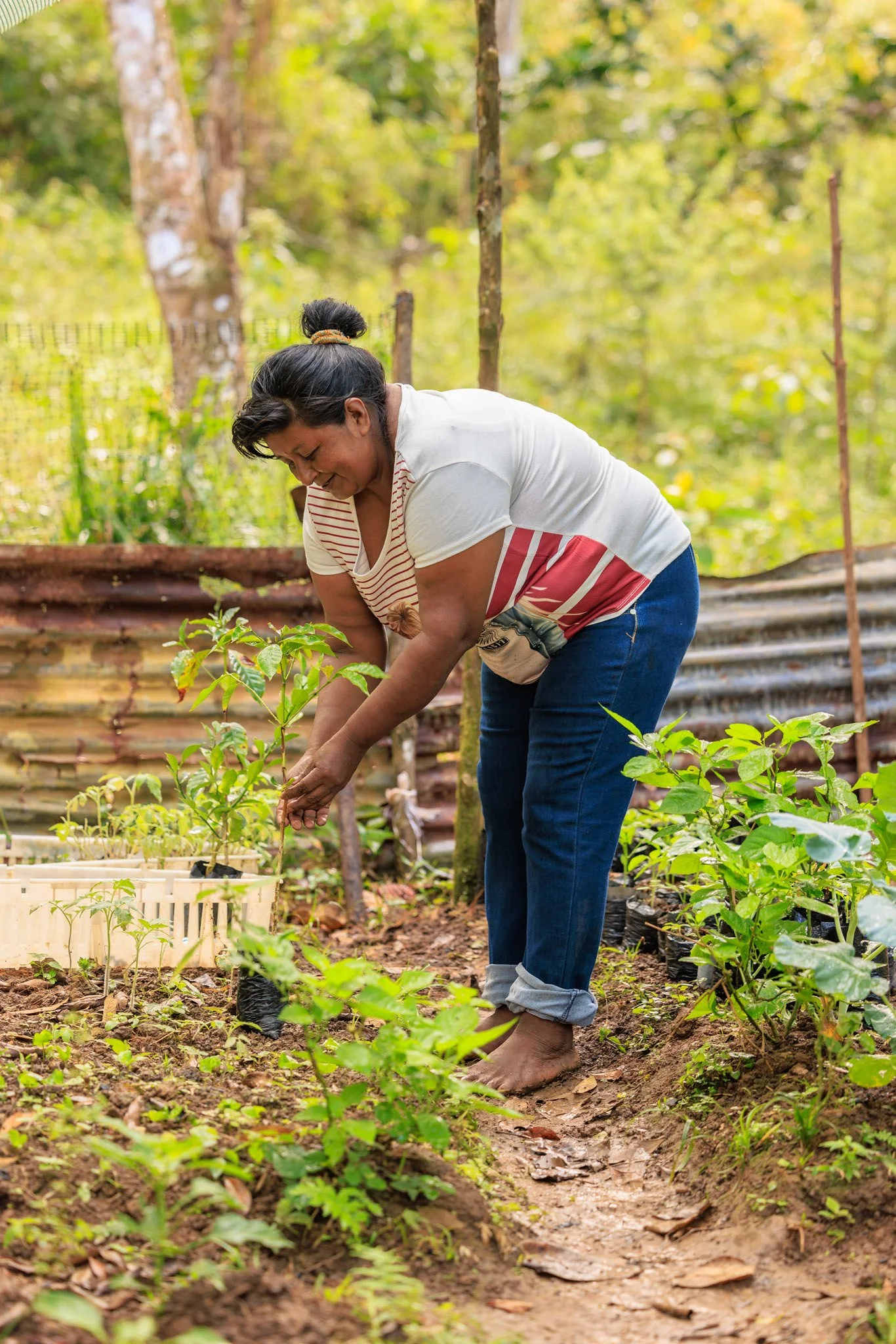 Scaling successes in sustainable agriculture – Home | GEF